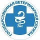 Бесплатная вакцинация животных против бешенства