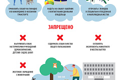 ПОЛЕЗНАЯ ИНФОРМАЦИЯ ДЛЯ ВЛАДЕЛЬЦЕВ ДОМАШНИХ ЖИВОТНЫХ