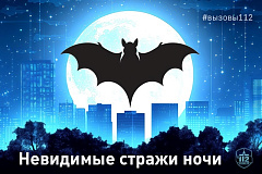 Невидимые стражи ночи